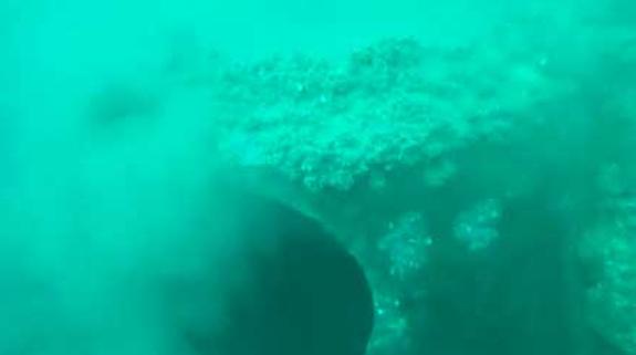 Sofía Castañón tilda de desastre la gestión de vertidos sin tratar al mar en Gijón