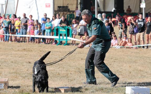 'Explosión' en las fiestas de Contrueces