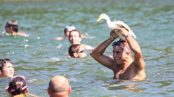 Piden la suspensión de la 'fiesta del pato' de Valdés por maltrato animal