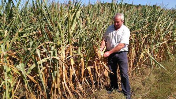 «Estamos ante un verano nefasto para el campo», lamentan ganaderos y agricultores