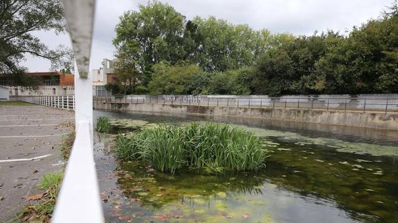 El aparcamiento de Las Mestas se abrirá al público y el anillo navegable estará limpio en dos meses