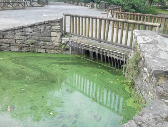 La otra cara del parque