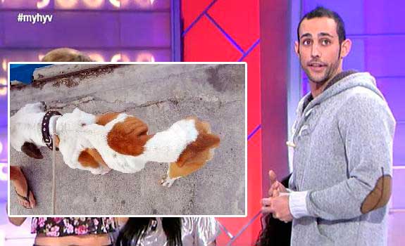 Un expretendiente de MYHYV, investigado por dejar morir de hambre a su perro