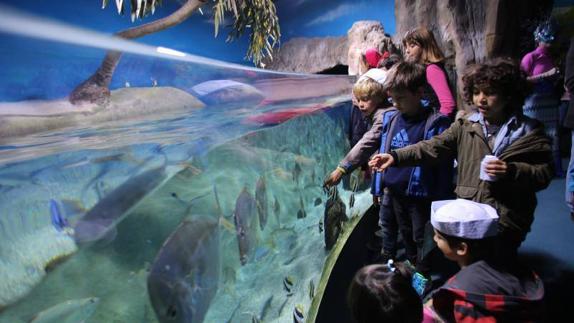 El Acuario de Gijón aumentó sus visitas un 15% en el último año