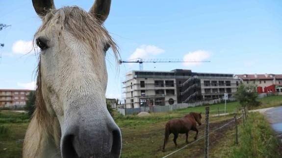 La demolición del hotel Kaype, la versión asturiana del Algarrobico