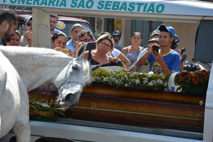 Sereno, el caballo que «lloró» en el funeral de su amo | El Comercio:  Diario de Asturias