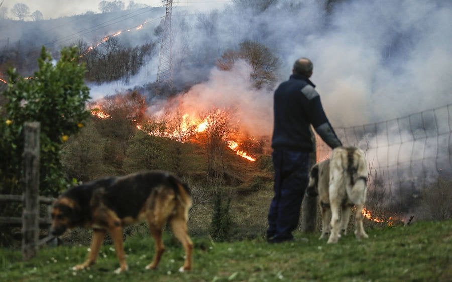 «Cuatro o cinco incendios grandes se hubieran podido evitar si hubiera estado el vigilante»