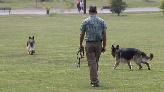 Expedientado por pasear con el perro suelto y negarse a recoger sus excrementos en Blimea