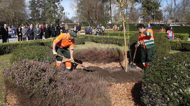 El parque Isabel la Católica recupera el sauce de Jovellanos