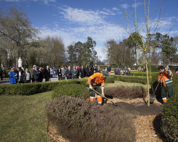 Isabel la Católica recupera el sauce llorón de Jovellanos