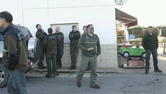 Empieza la batalla contra los jabalíes por Villaviciosa