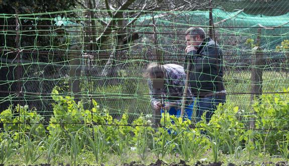 Asturias y Galicia se unen para erradicar la plaga de la polilla