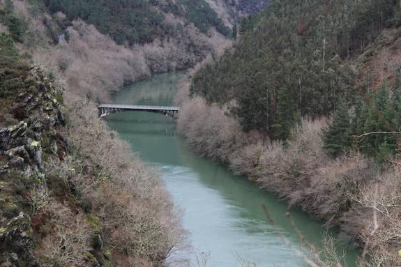 Una caminata junto al Navia