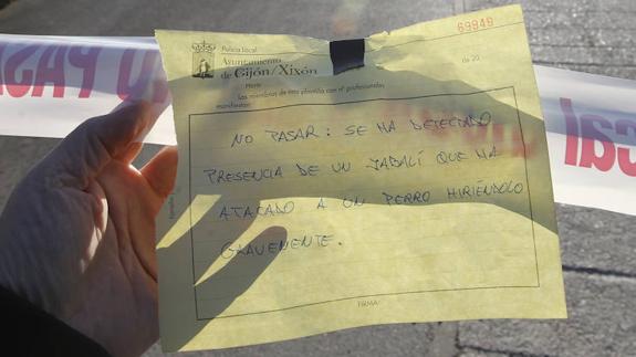 Un jabalí ataca a un perro en el barrio gijonés de Nuevo Roces