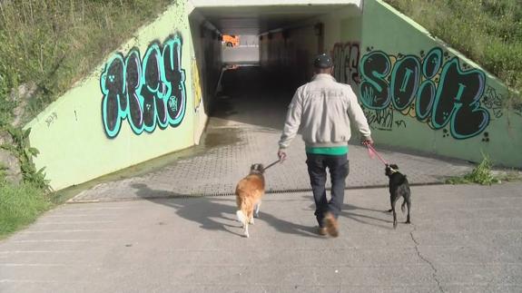 «Lo del jabalí es todos los días. Estaba claro que iba a pasar»