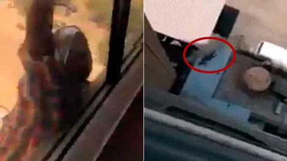 Detienen a la mujer que grabó a su asistenta cayendo desde un séptimo en lugar de ayudarla