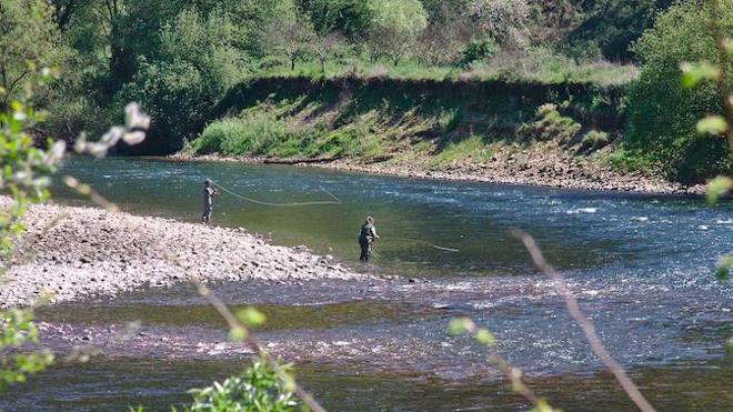 Asturias abre la temporada de salmón con preocupación por el estado de los ríos