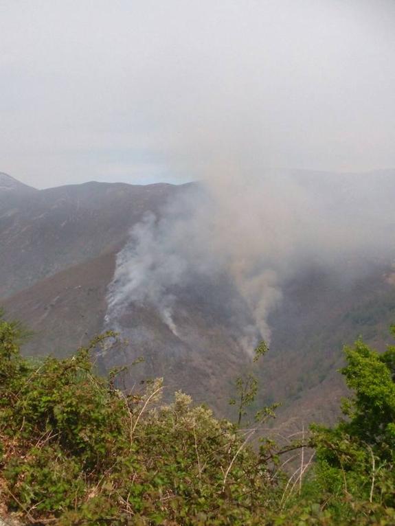 Un incendio en Ibias arrasa más de catorce hectáreas en la Reserva Natural de Muniellos