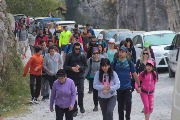 El director del Parque de Picos de Europa pide a los turistas que dejen el coche y usen el autobús ante los atascos