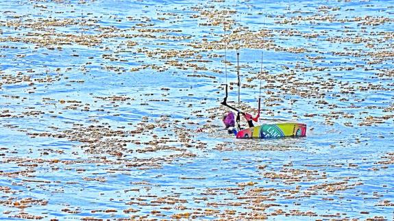 Medio Ambiente descarta un vertido en Salinas y considera que las manchas eran algas