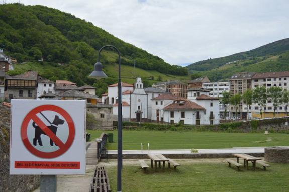 Cangas prohíbe hasta el 30 de octubre la entrada de perros en el Prao El Molín