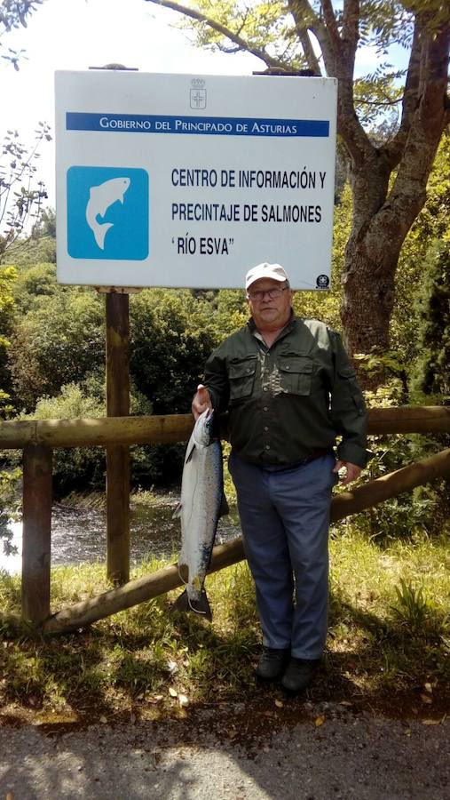 El Esva da su campanu un mes y tres días después de abrirse la temporada