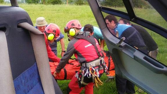 Un ganadero de 60 años, herido tras ser embestido por una vaca en Nava