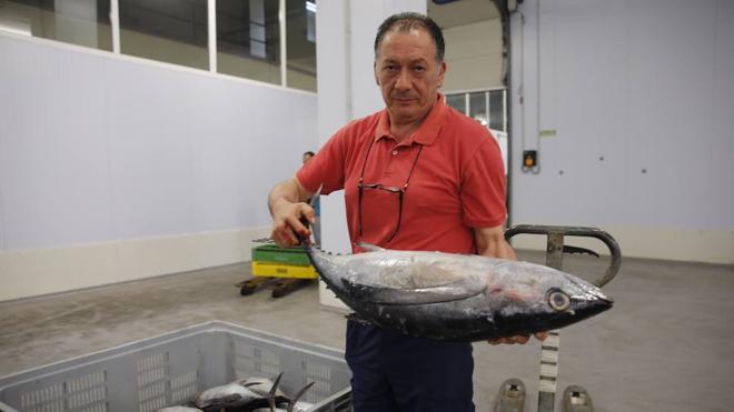 El primer bonito de Gijón, a 11,05 euros el kilo