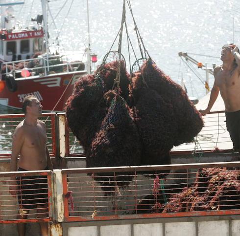 La justicia paraliza la extracción de ocle desde barcos en Asturias
