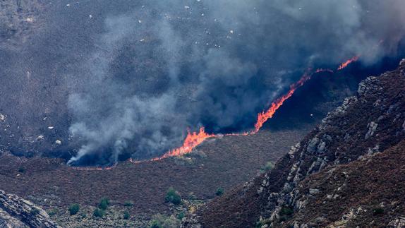 Los tres grandes incendios de la primavera en Asturias calcinaron casi 2.000 hectáreas